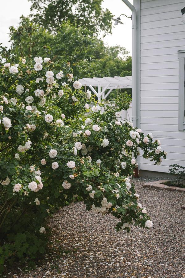Vallby Cottage Enköping Dış mekan fotoğraf