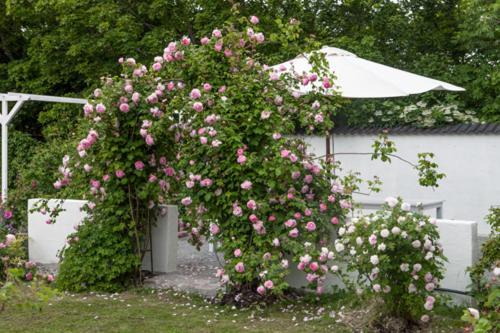 Vallby Cottage Enköping Dış mekan fotoğraf