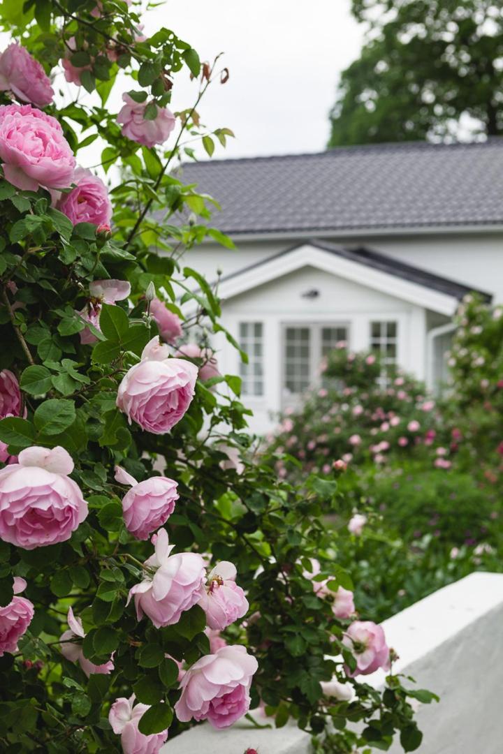 Vallby Cottage Enköping Dış mekan fotoğraf